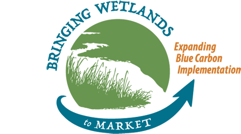 Bringing Wetlands to Market: Expanding Blue Carbon Implementation