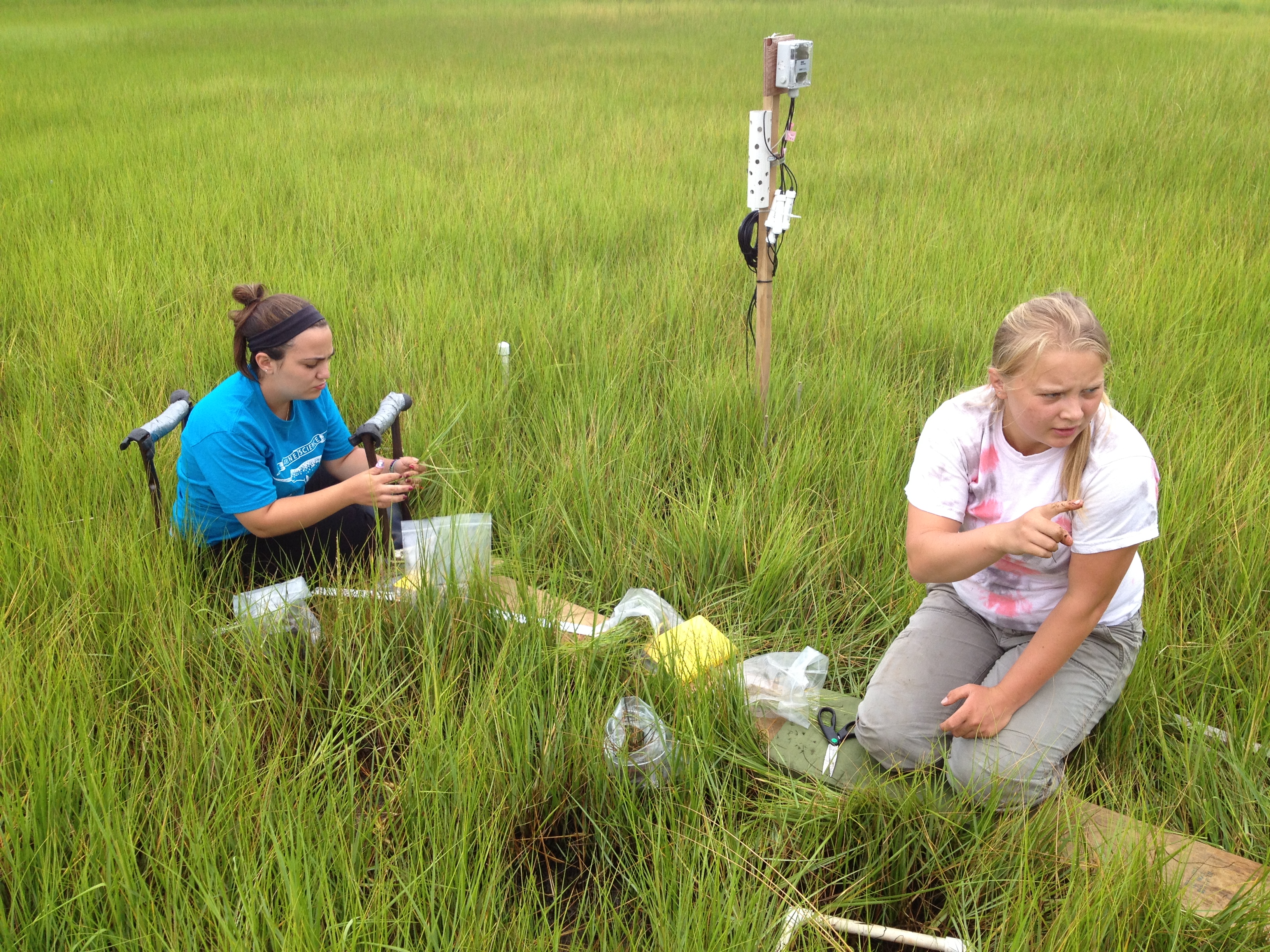 Waquoit Bay Reserve Salt Marsh Research & Monitoring