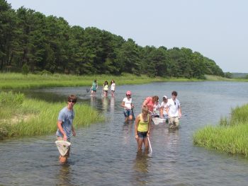 Summer Science at Waquoit Bay Reserve