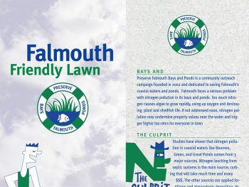 Falmouth Friendly Lawns