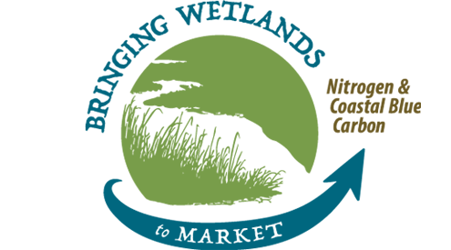 Bringing Wetlands to Market Phase 1