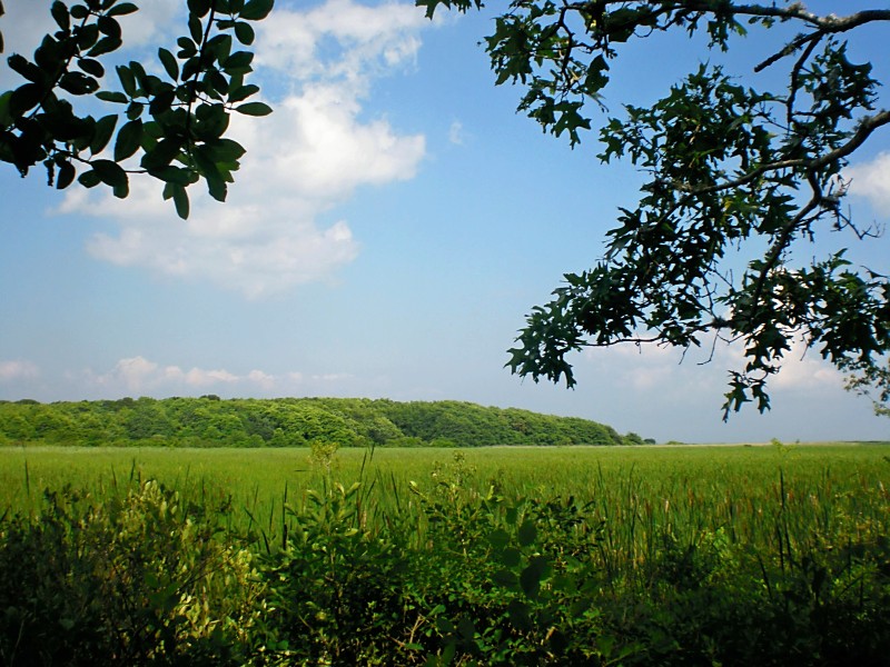 Waquoit Bay National Estuarine Research Reserve Great Flat Pond Trail and Bayberry Lot parking