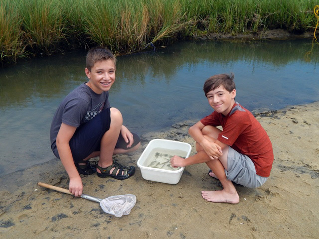 Friends of the Waquoit Bay Reserve