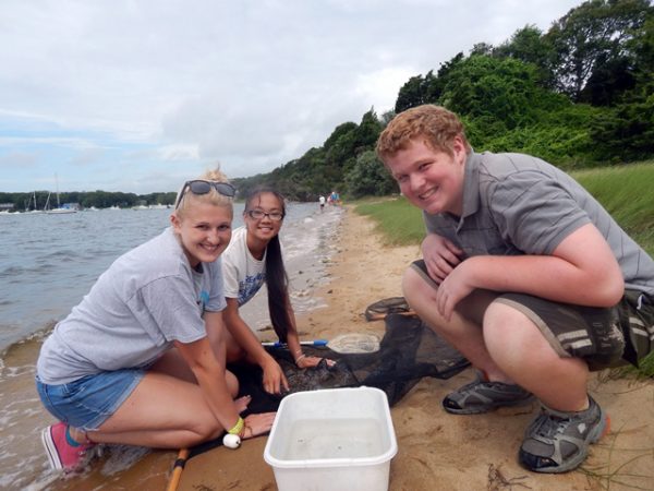 Waquoit Bay Summer Science School: TIDAL Quest: Teens Investigating Diversity of Aquatic Life